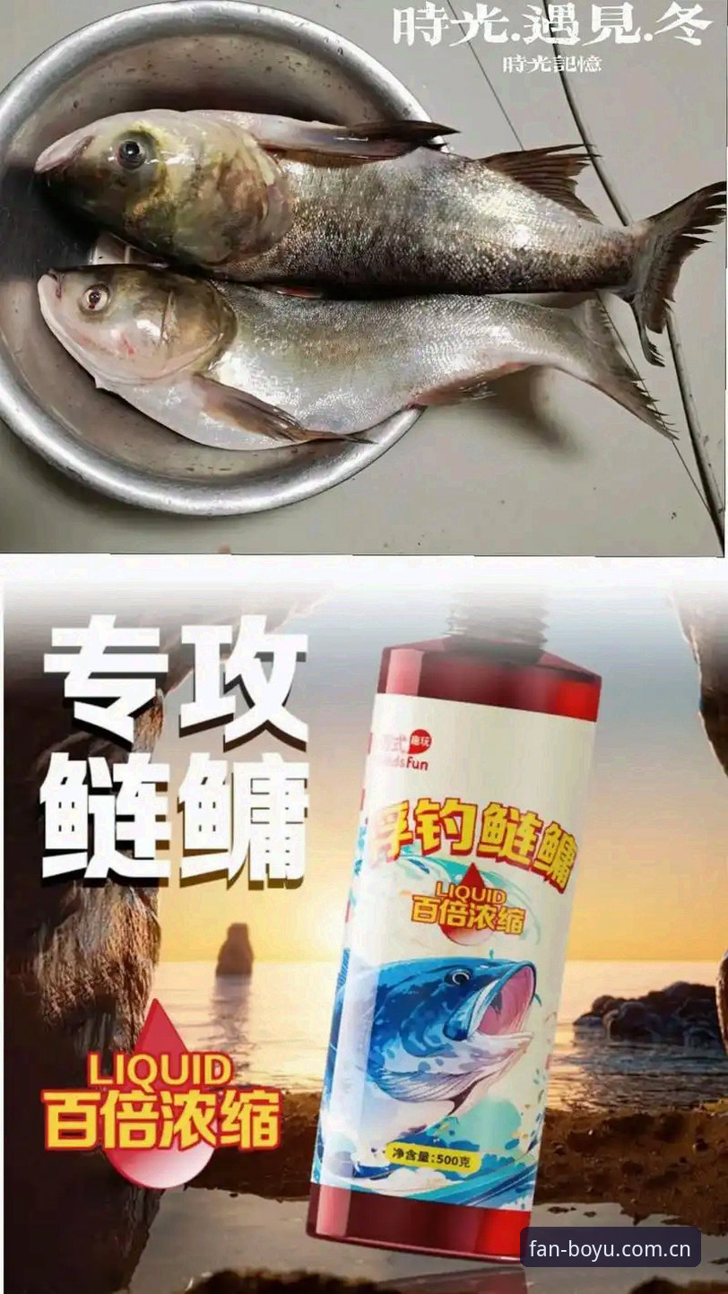 博鱼体育综合平台深度分析：从正版直播到最新版app的全面体验解析